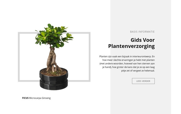 Gids voor plantenverzorging Website Builder-sjablonen