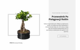 Przewodnik Po Pielęgnacji Roślin - Create HTML Page Online