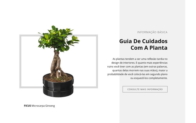 Guia de cuidados com as plantas Modelos de construtor de sites