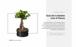Guia De Cuidados Com As Plantas - Modelo HTML5 Responsivo