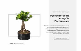 Руководство По Уходу За Растениями – Шаблон HTML-Страницы