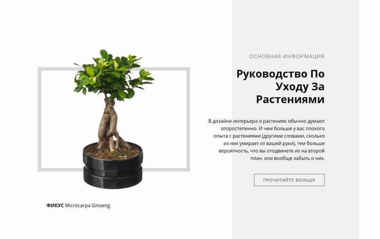 Руководство по уходу за растениями Шаблоны конструктора веб-сайтов