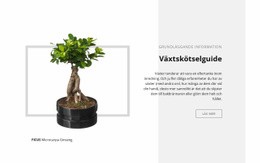 Växtskötselguide - HTML-Webbplatslayout