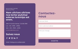 Formulaire De Contact Et Groupe De Texte - Builder HTML