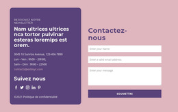 Modèle CSS Pour Formulaire De Contact Et Groupe De Texte