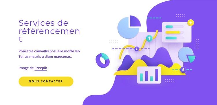 Services de référencement Modèle HTML5