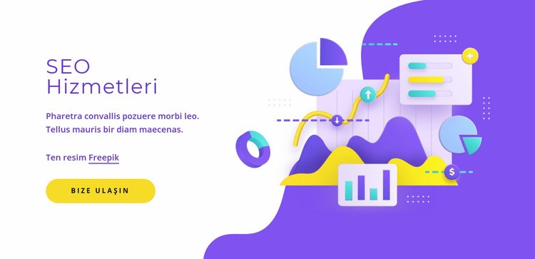 SEO hizmetleri Web sitesi tasarımı