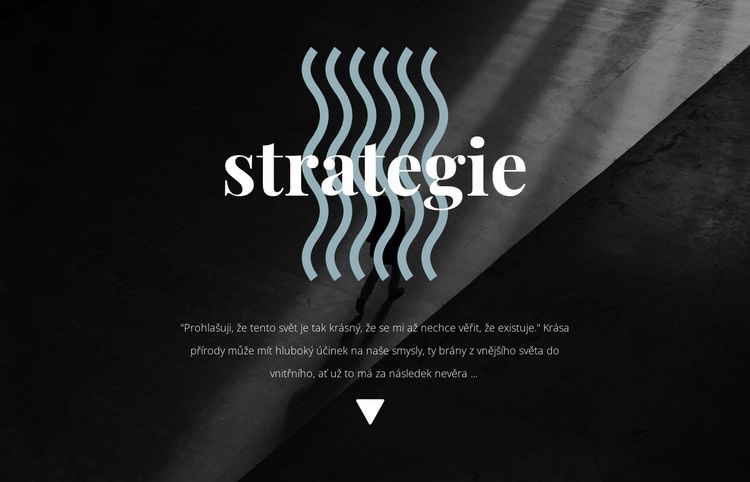 Strategie Šablona webové stránky