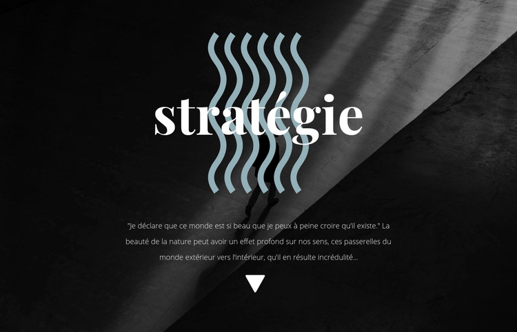 Stratégie Modèle de site Web