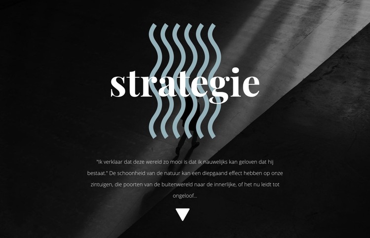 Strategie CSS-sjabloon