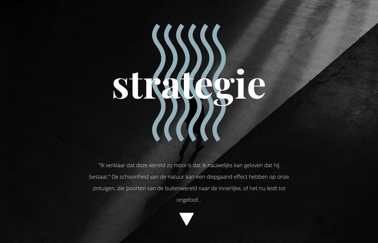 Strategie Website mockup
