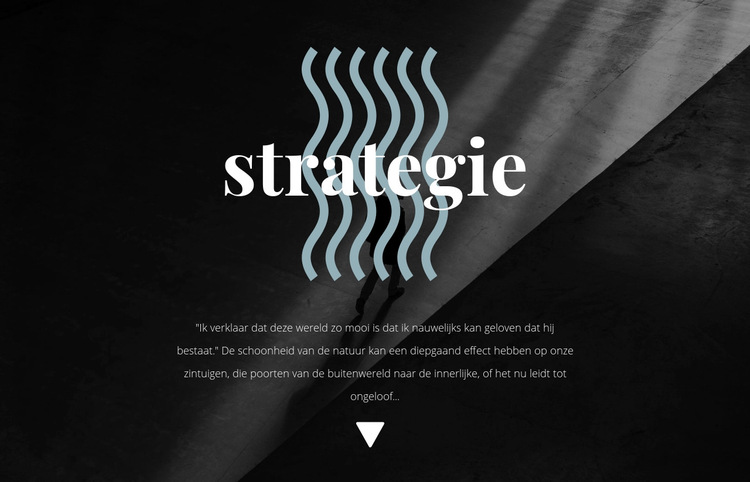 Strategie Website sjabloon