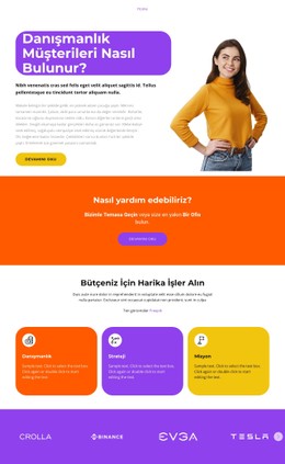 Başarılı Geliştirme Tablo CSS Şablonu