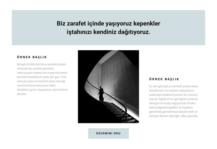 Geliştirme ve uygulama WordPress Teması