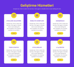 Özel Uygulama Geliştirme - WordPress Teması