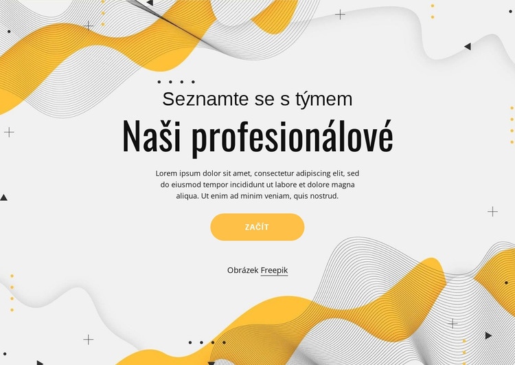 Seznamte se s naším profesionálním týmem Šablona CSS