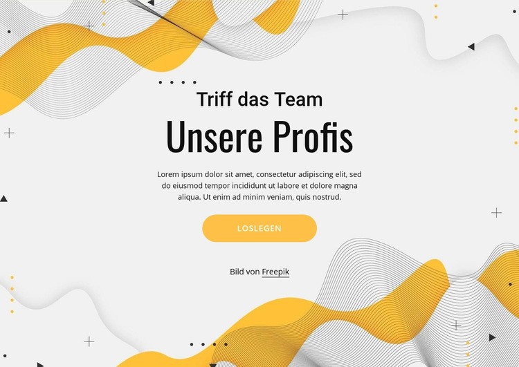 Lernen Sie unser professionelles Team kennen Website-Modell