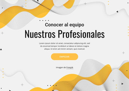 Conoce A Nuestro Equipo De Profesionales - Tema Definitivo De WordPress