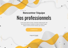 Rencontrez Notre Équipe Professionnelle - Modèle HTML5 À Télécharger Gratuitement