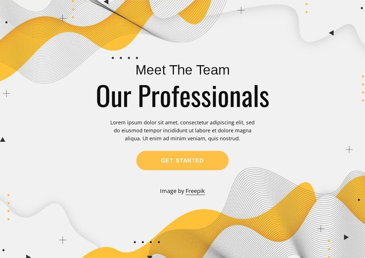 Meet our professional team Homepage Design