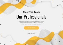 Meet Our Professional Team