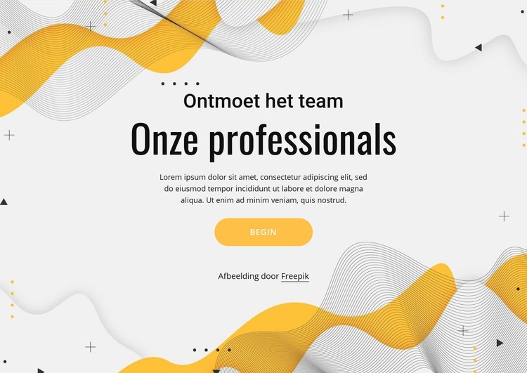 Maak kennis met ons professionele team Website sjabloon