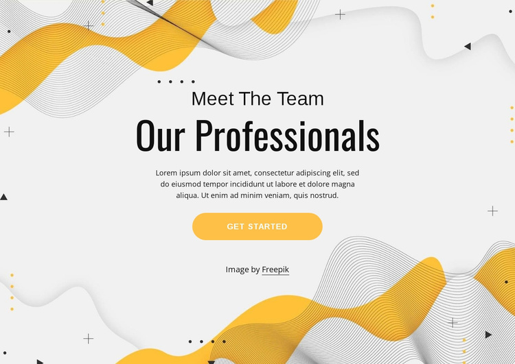 Meet our professional team Landing Page