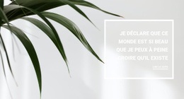 Plantes D'Intérieur – Modèle De Site Web Gratuit