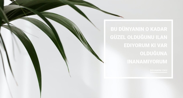 Ev bitkileri Web Sitesi Oluşturucu Şablonları