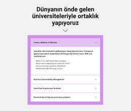 Başlık Ve Akordeon Için Web Sitesi Tasarımı