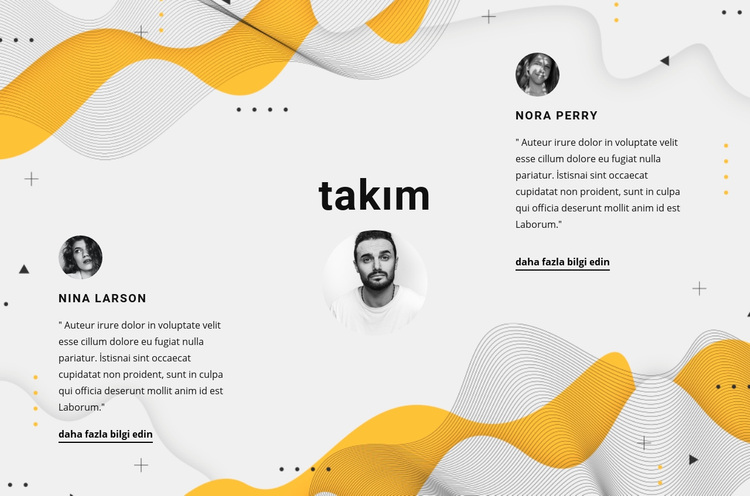 üç ortak WordPress Teması