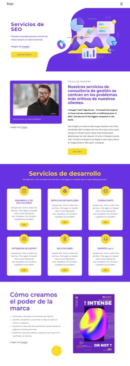 Consultas De Servicios SEO Plantilla De Una Sola Página