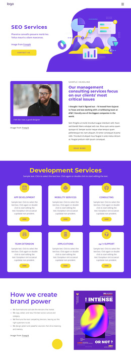 Responsive Web Template For SEO Service Consultations