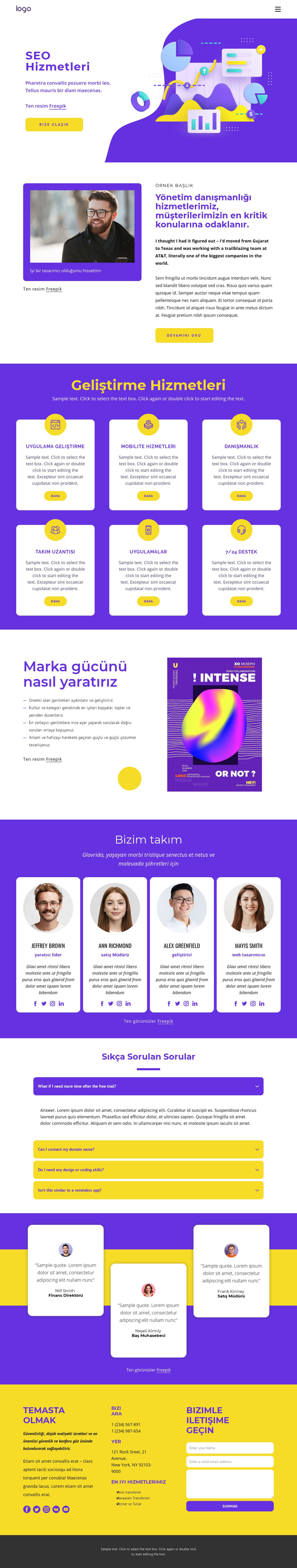 SEO hizmeti danışmanlığı WordPress Teması