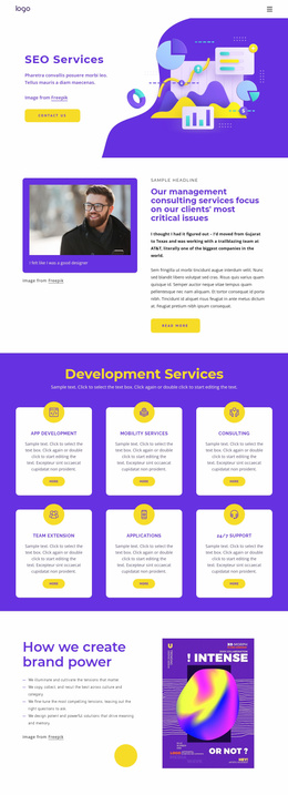 SEO Service Consultations - Website Template Download