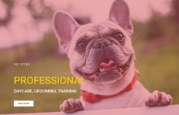 Professional Dog Training School CSS Website Template