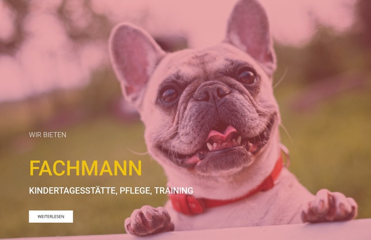 Professionelle Hundeschule Landing Page