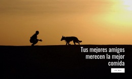La Mejor Comida Para Mascotas Plantilla HTML5