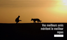 Meilleure Nourriture Pour Animaux De Compagnie Conception De Site Web