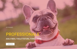 Scuola Professionale Di Addestramento Per Cani - HTML Builder Drag And Drop