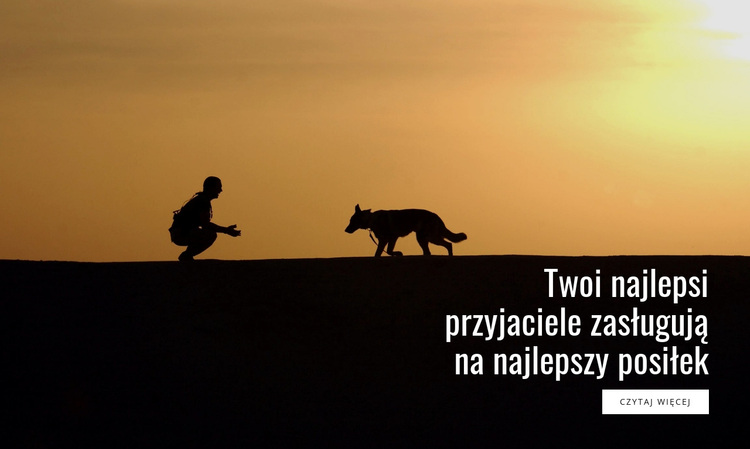 Najlepsza karma dla zwierząt domowych Motyw WordPress