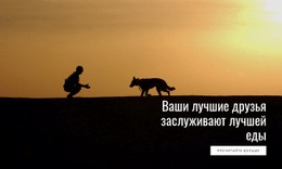 Лучшая Еда Для Домашних Животных Ипподром Wordpress