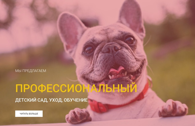 Профессиональная школа дрессировки собак Мокап веб-сайта