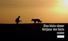 Bästa Maten För Husdjur