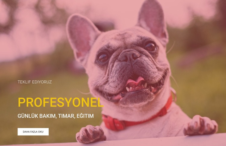 Profesyonel köpek eğitim okulu HTML Şablonu
