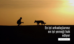 Evcil Hayvanlar Için En Iyi Yiyecek