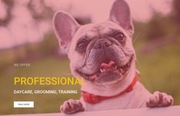 Professional Dog Training School Landing Page