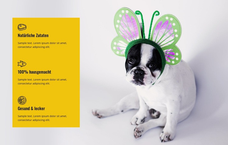 Gesundheit und leckeres Futter für Haustiere Website design