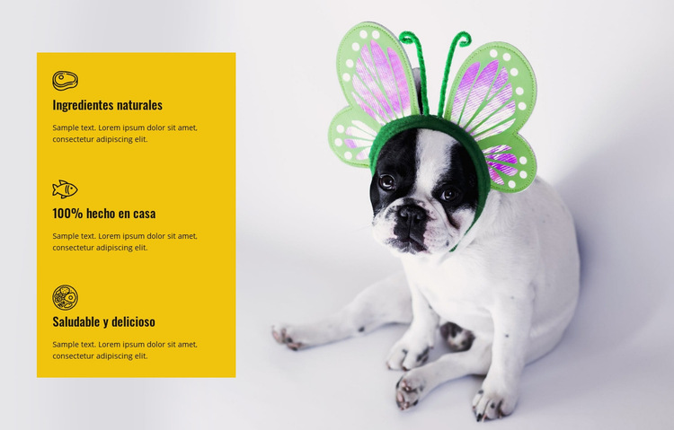 Comida sana y deliciosa para mascotas Plantilla de sitio web