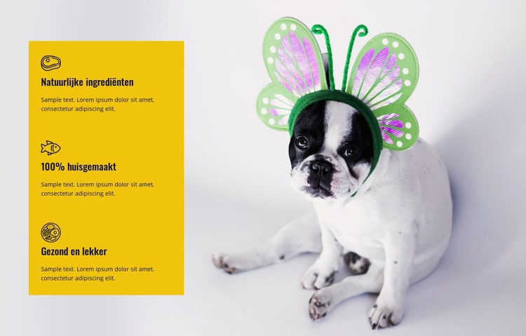 Gezondheid en lekker eten voor huisdieren Website ontwerp